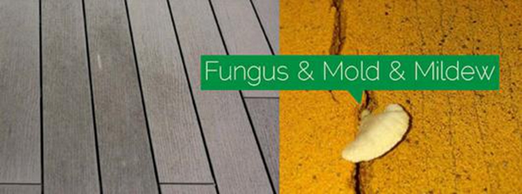 Anit-fungus, mold and mildew composite decks
